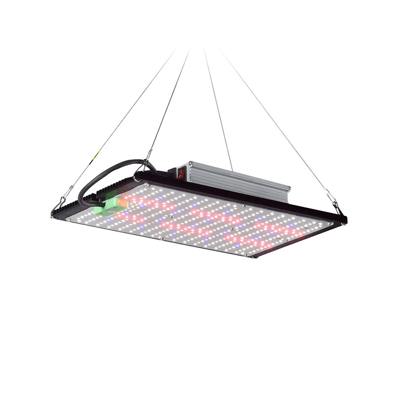 Grow Light Led - Lampada LED Quantum-Board per la Crescita
