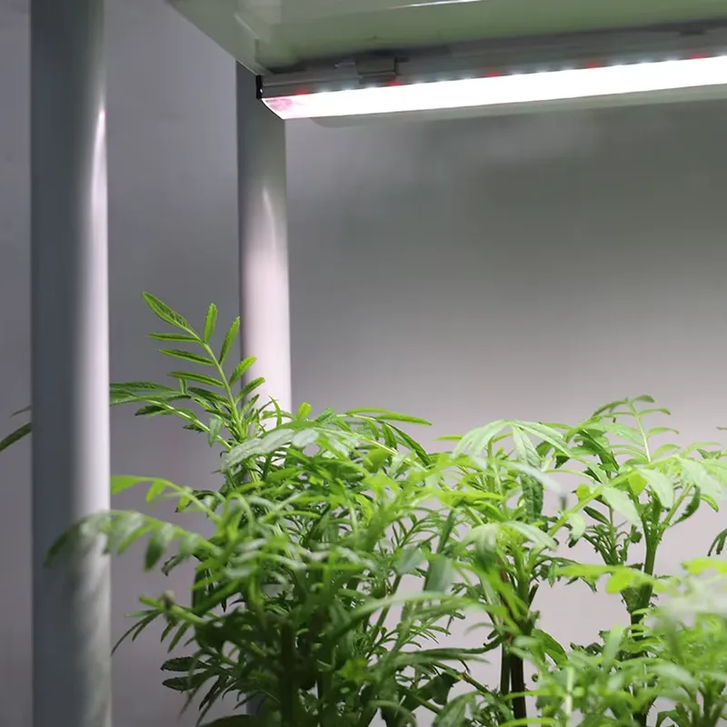 Self Watering Planter - Sistema di Coltivazione Verticale Mobile a