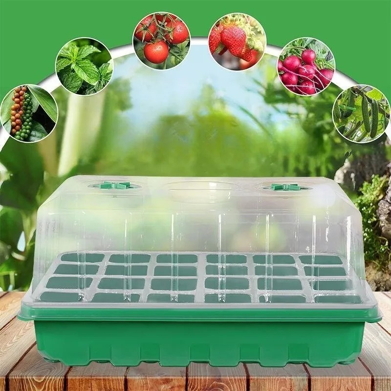 Seed Starter Tray - Kit Vassoio per Semina da 1/5
