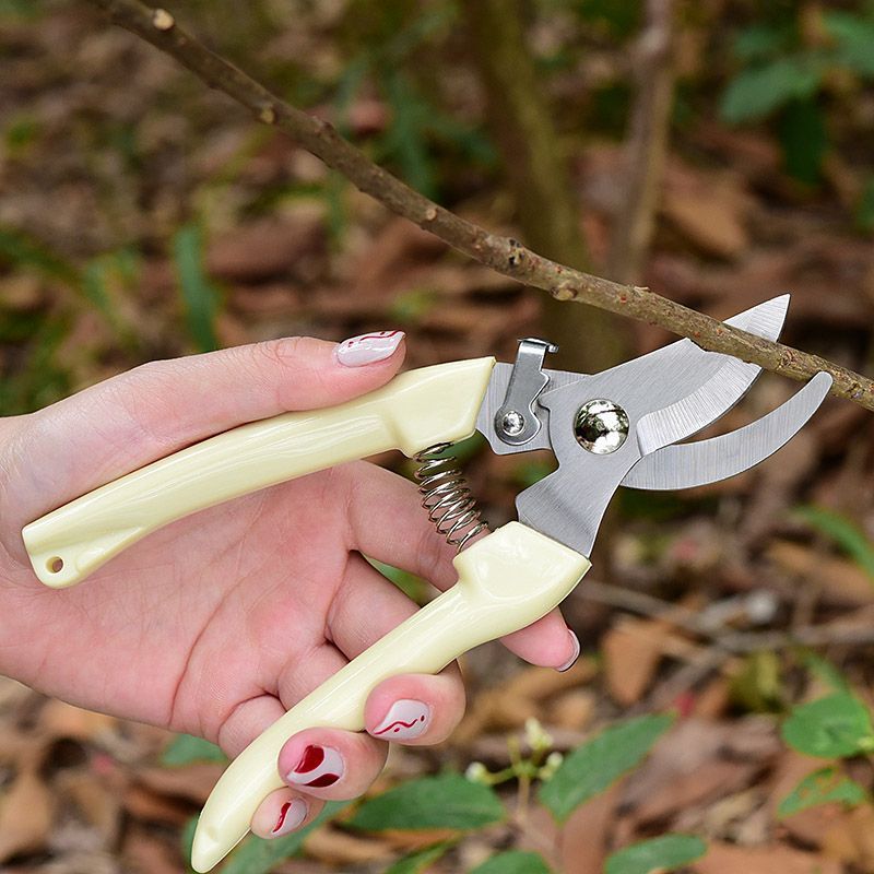 Pruning Shears - Forbici da Potatura da Giardino Salva-Lavoro,