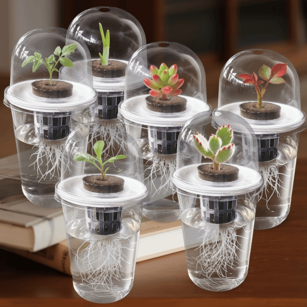 Seed Starter Tray - 1-5 Pezzi Vasi Trasparenti per Germinazione