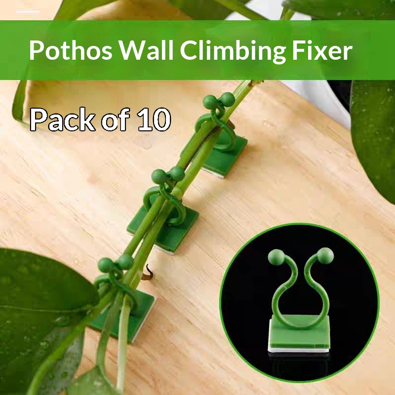 Indoor Herb Garden - Clip Autoadesive per Piante Rampicanti, Ganci