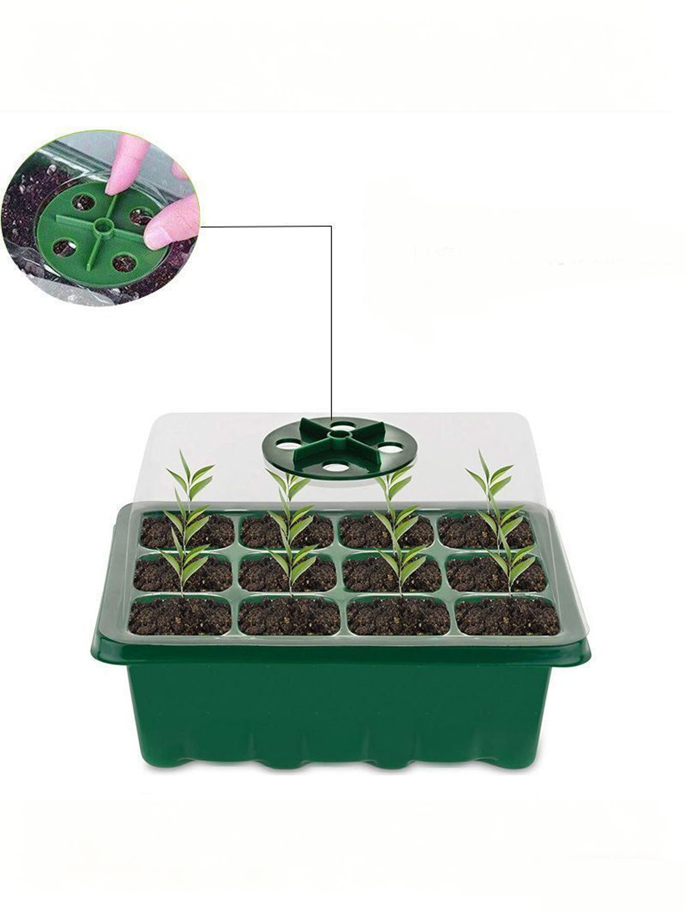 Seed Starter Tray - Vassoio per piantine da 1/2 pezzo