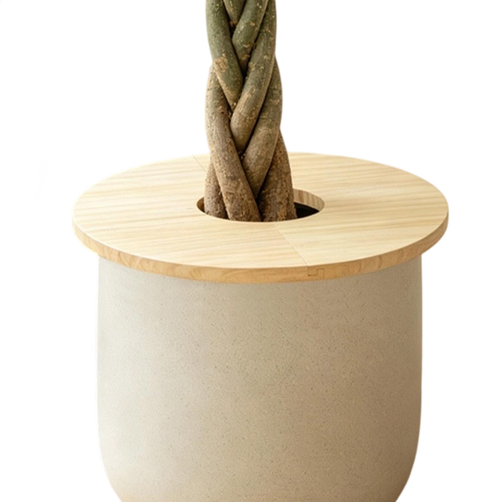 Coperture per Vasi di Fiori in - Indoor Herb Garden recensione e prezzo