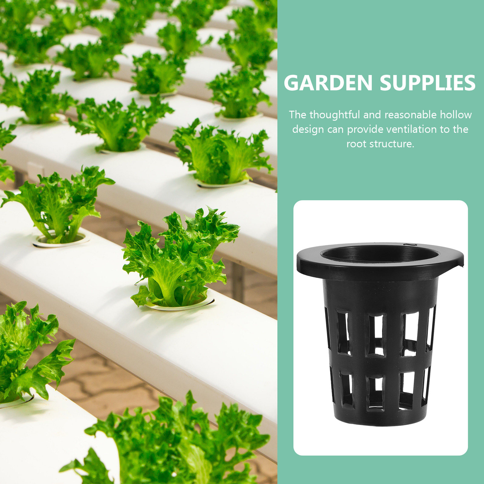 50 Pezzi Cestini in Plastica p - Plant Pot recensione e prezzo
