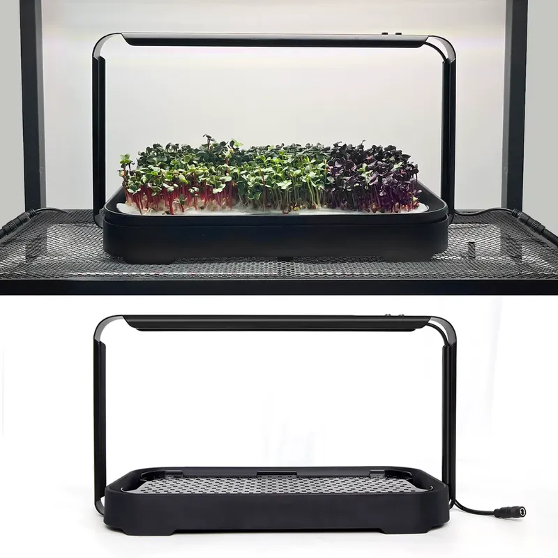 Sistema di coltivazione idropo - Self Watering Planter recensione e prezzo