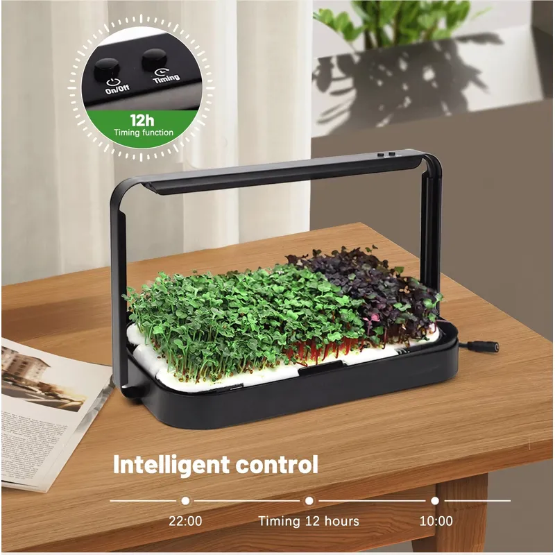 Sistema di coltivazione idropo - Self Watering Planter recensione e prezzo