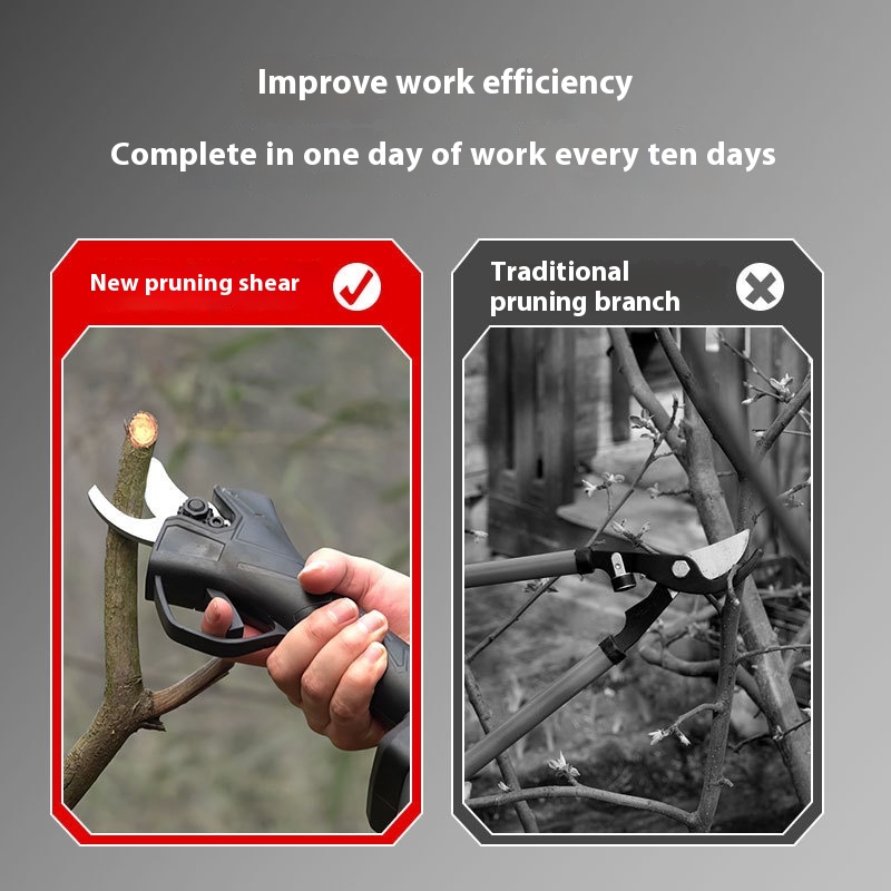 Forbici elettriche portatili a - Pruning Shears recensione e prezzo