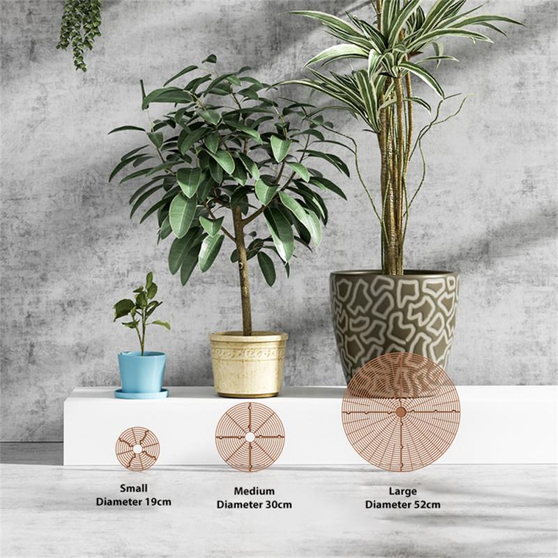 Griglia Protettiva per Vasi di - Indoor Herb Garden recensione e prezzo