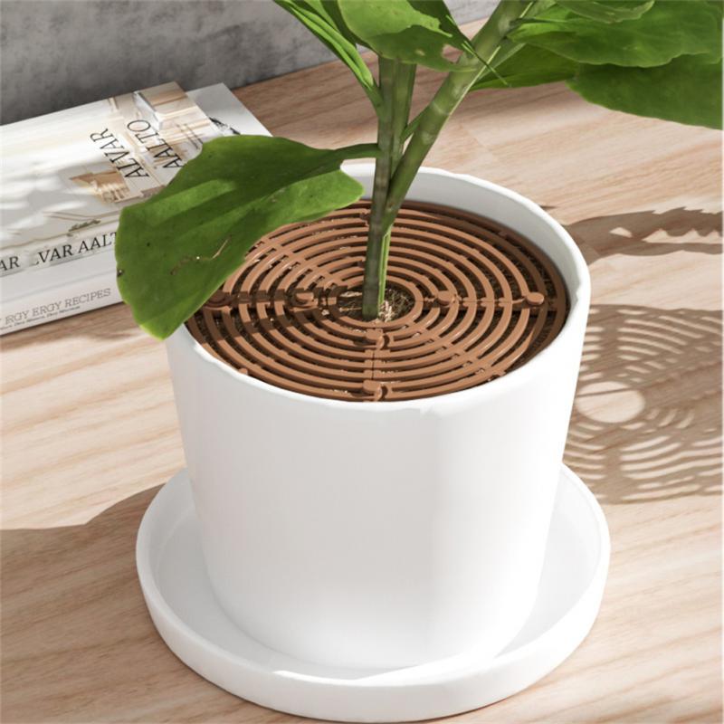 Griglia Protettiva per Vasi di - Indoor Herb Garden recensione e prezzo