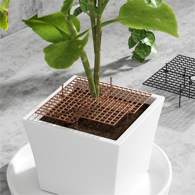 Griglia Protettiva per Vasi di - Indoor Herb Garden recensione e prezzo