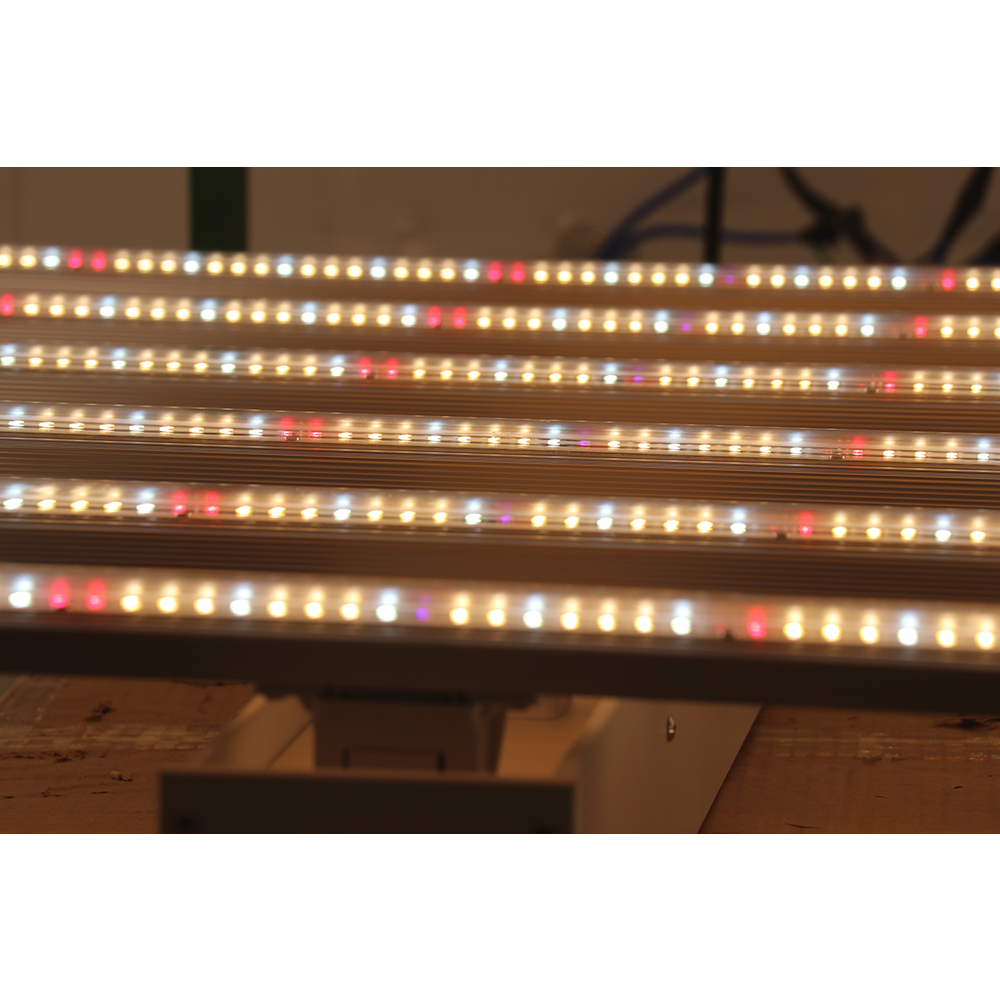 Lampada LED per Coltivazione P - Grow Light Led recensione e prezzo