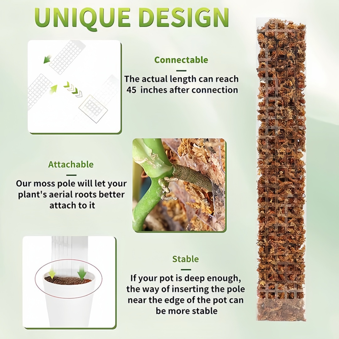 Supporto per piante in plastic - Indoor Herb Garden recensione e prezzo
