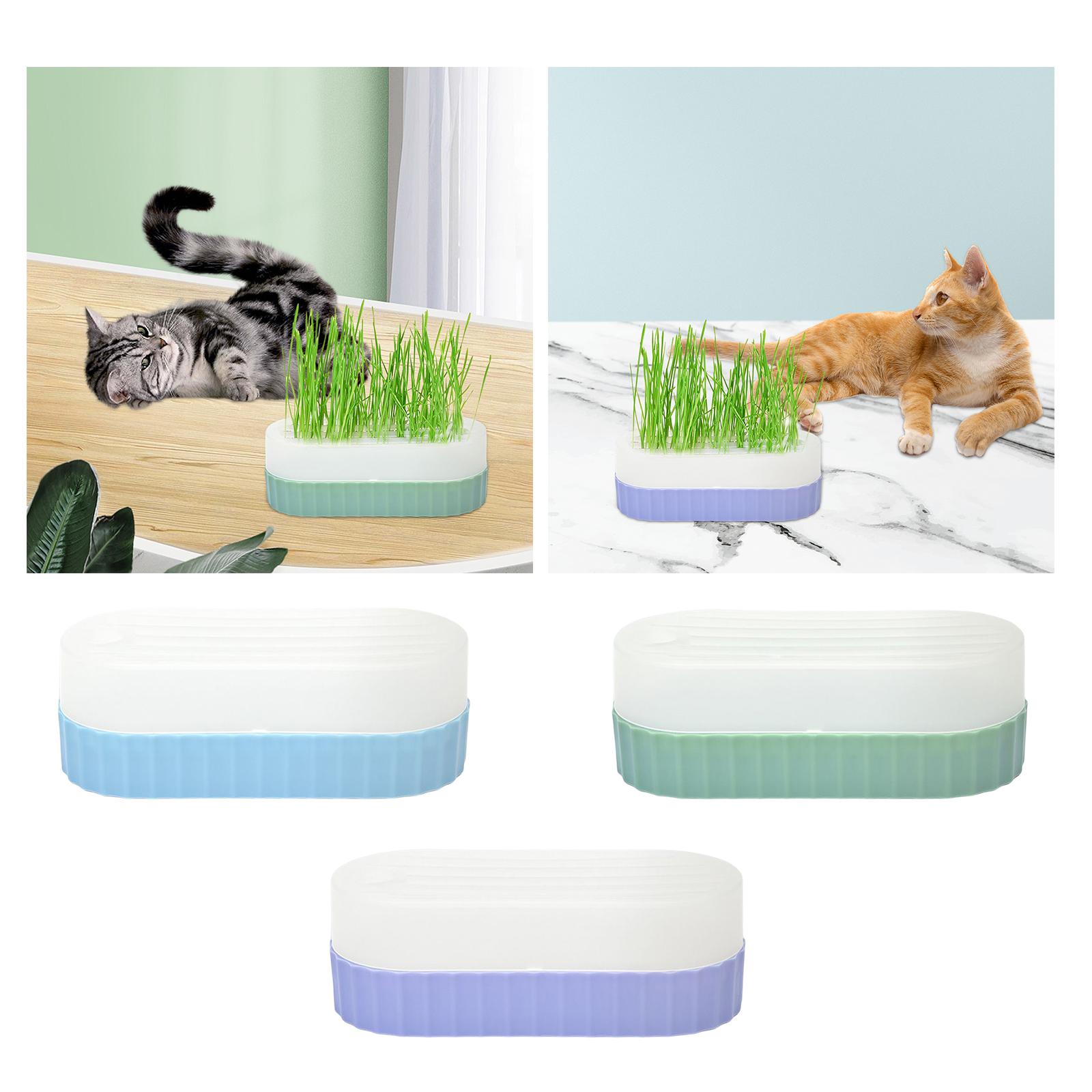 Vassoio per la germinazione de - Hydroponic Kit recensione e prezzo