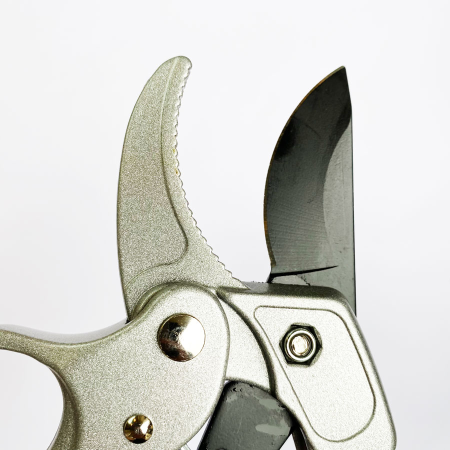 Forbici Professionali a Cricch - Pruning Shears recensione e prezzo