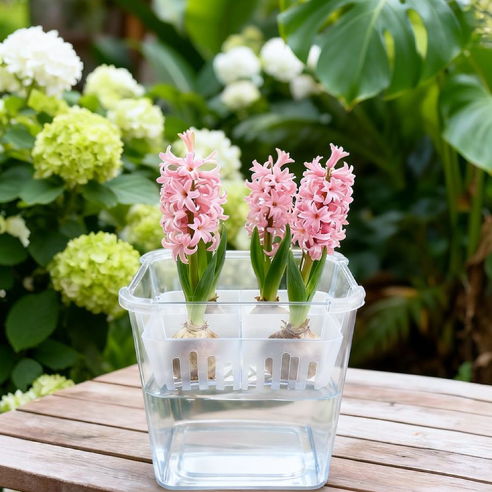 Vaso idroponico per tulipani e - Plant Pot recensione e prezzo