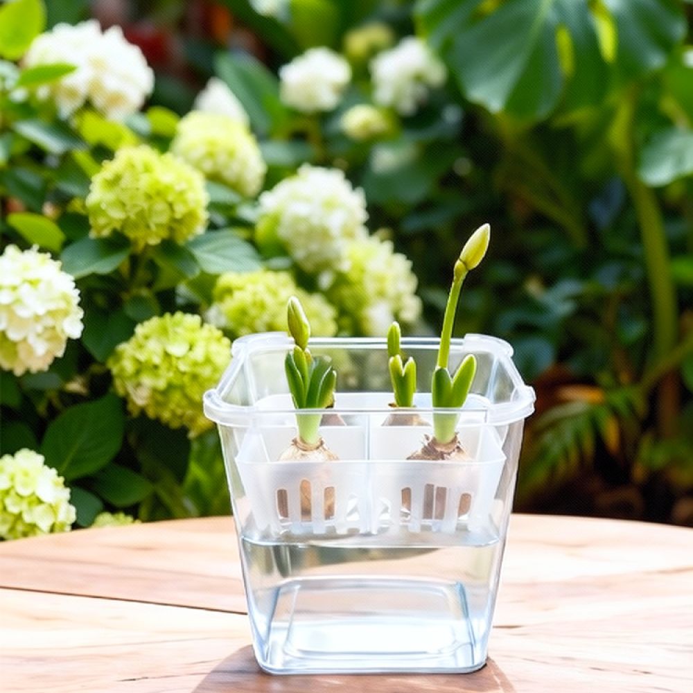 Vaso idroponico per tulipani e - Plant Pot recensione e prezzo
