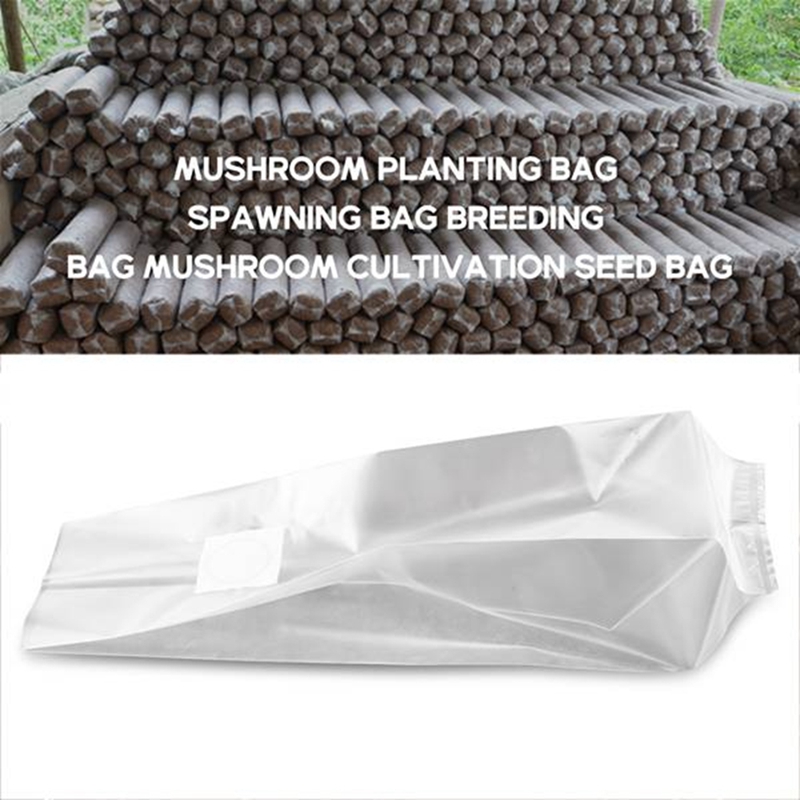 50 sacchetti per funghi/sacche - Grow Bag recensione e prezzo