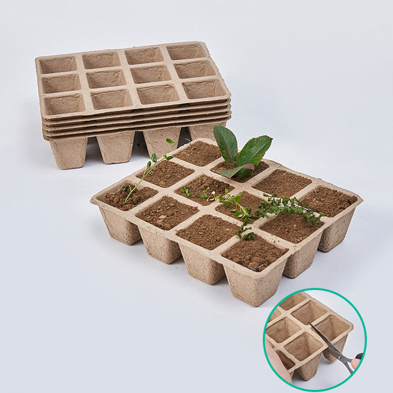 5 pz 12 fori pianta vivaio vas - Seed Starter Tray recensione e prezzo