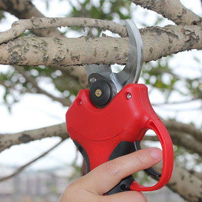 Forbici da Giardinaggio di Alt - Pruning Shears recensione e prezzo