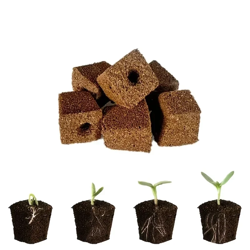 Kit di Spugne per Germinazione - Hydroponic Kit recensione e prezzo