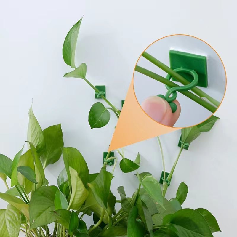 Clip Autoadesive per Piante Ra - Indoor Herb Garden recensione e prezzo