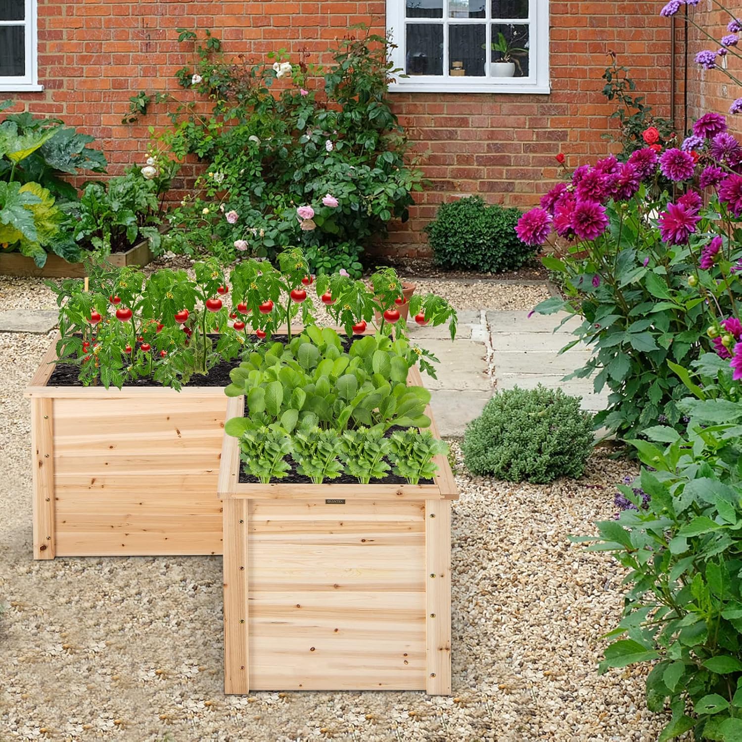 Fioriera rialzata in legno mas - Raised Garden Bed recensione e prezzo