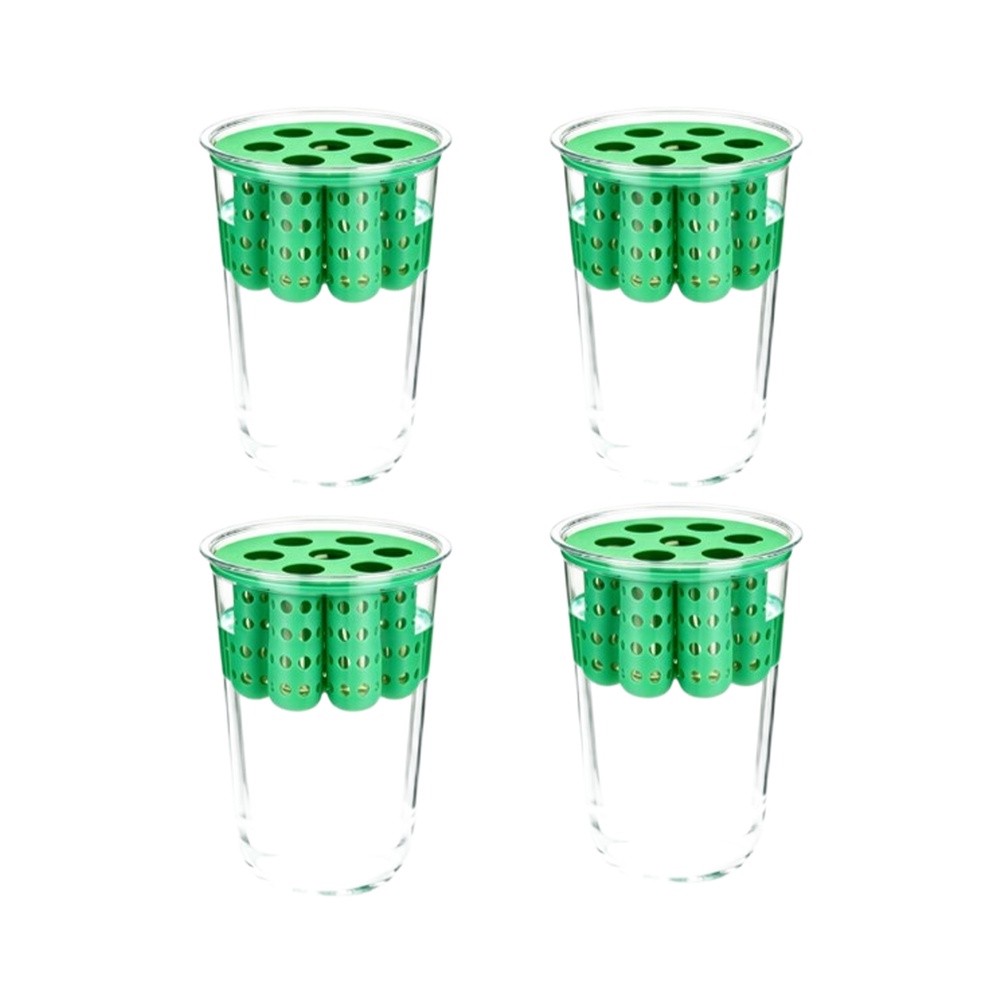4 kit per la ricrescita delle  - Hydroponic Kit recensione e prezzo