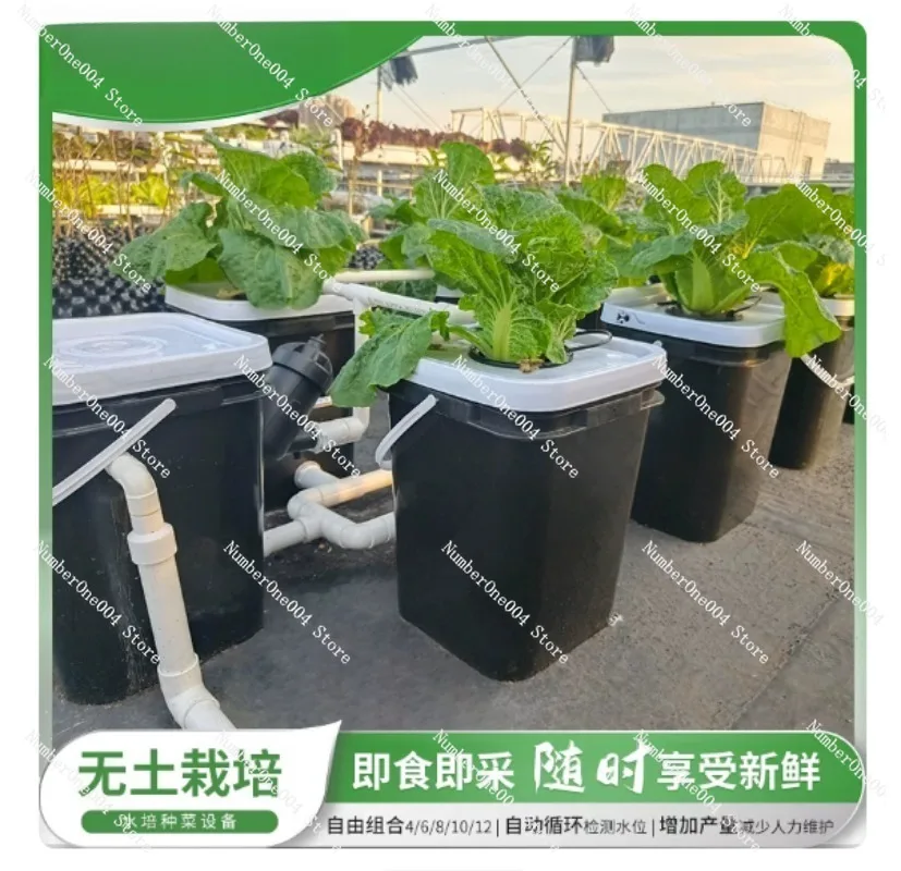 Kit Idroponico RDWC per Balcon - Hydroponic Kit recensione e prezzo