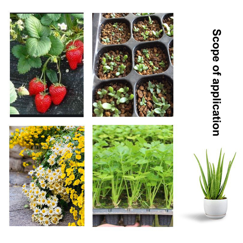 Set di 10 Vassoi per Semina in - Seed Starter Tray recensione e prezzo