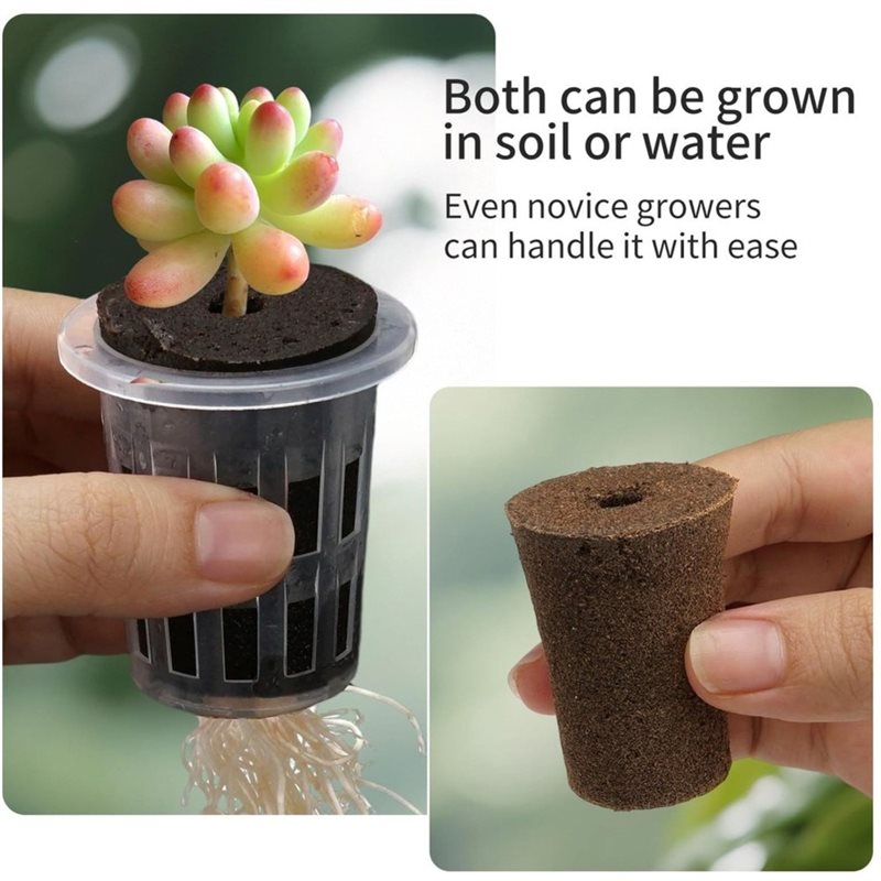 [ABFI!] Kit Sistema di Coltiva - Hydroponic Kit recensione e prezzo