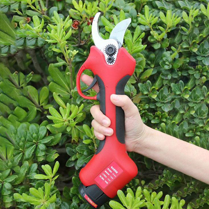 Forbici Elettriche per Potatur - Pruning Shears recensione e prezzo
