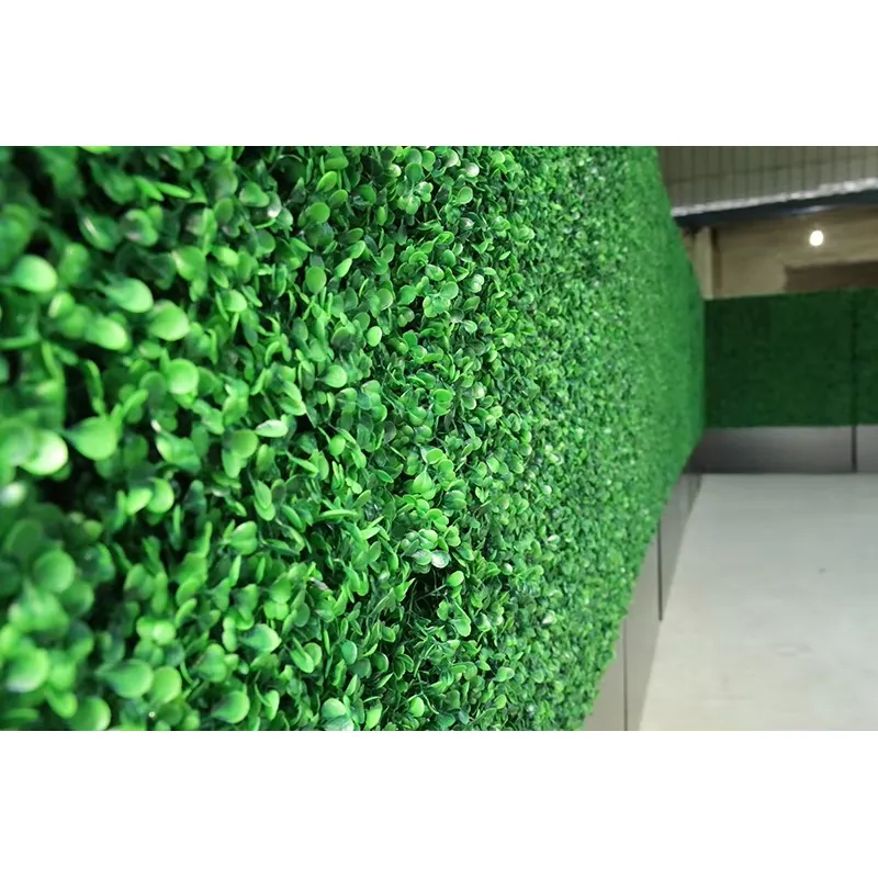 CQ-001 Pannello in PE per Giar - Vertical Planter recensione e prezzo