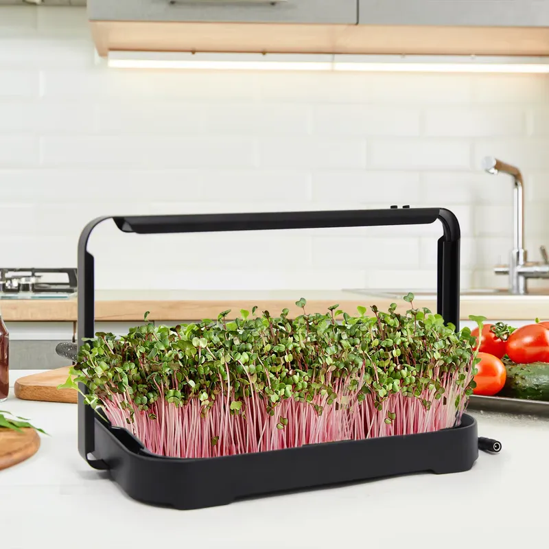 Vassoio Idroponico per Microgr - Hydroponic Kit recensione e prezzo