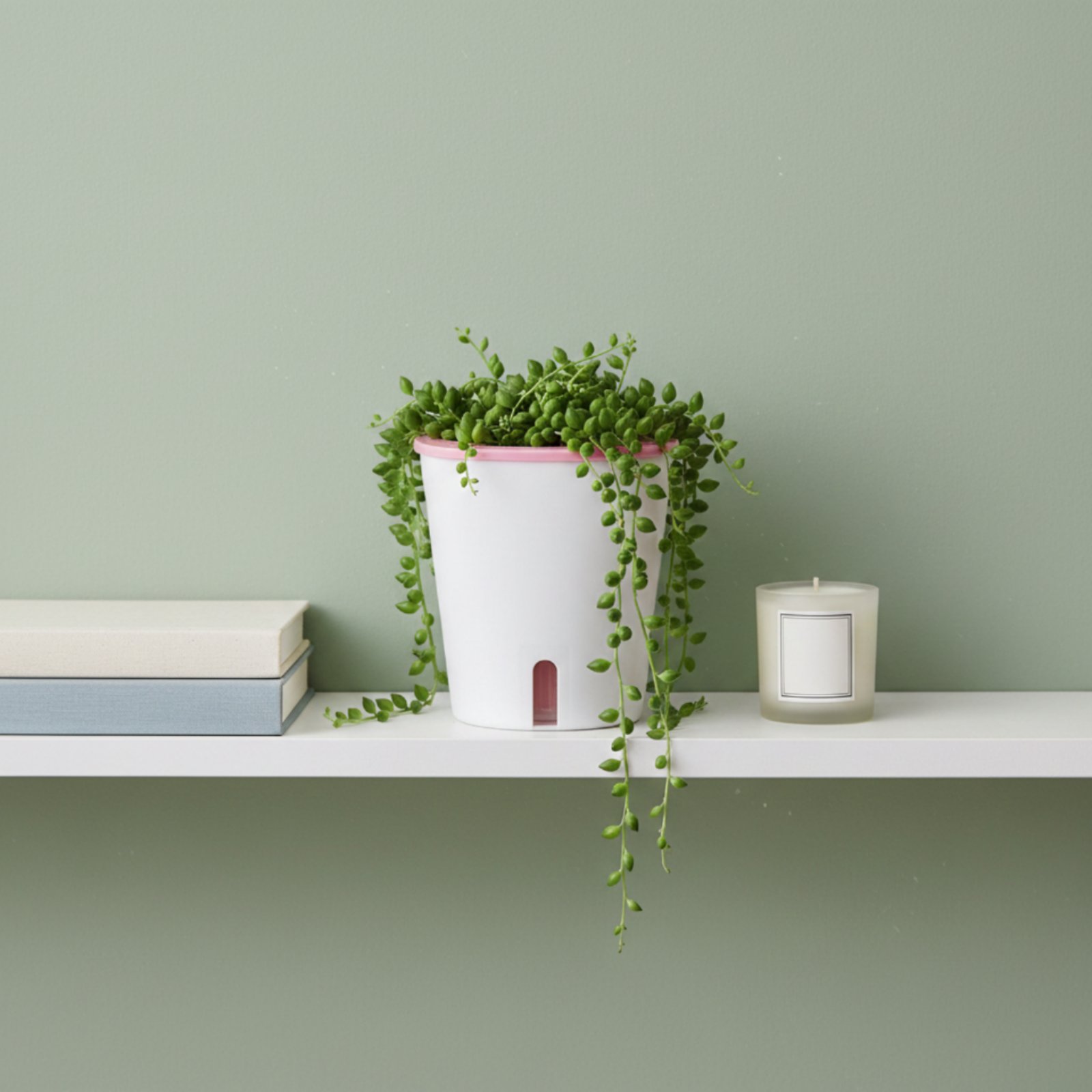 Vaso Autoirrigante di Grandi D - Self Watering Planter recensione e prezzo