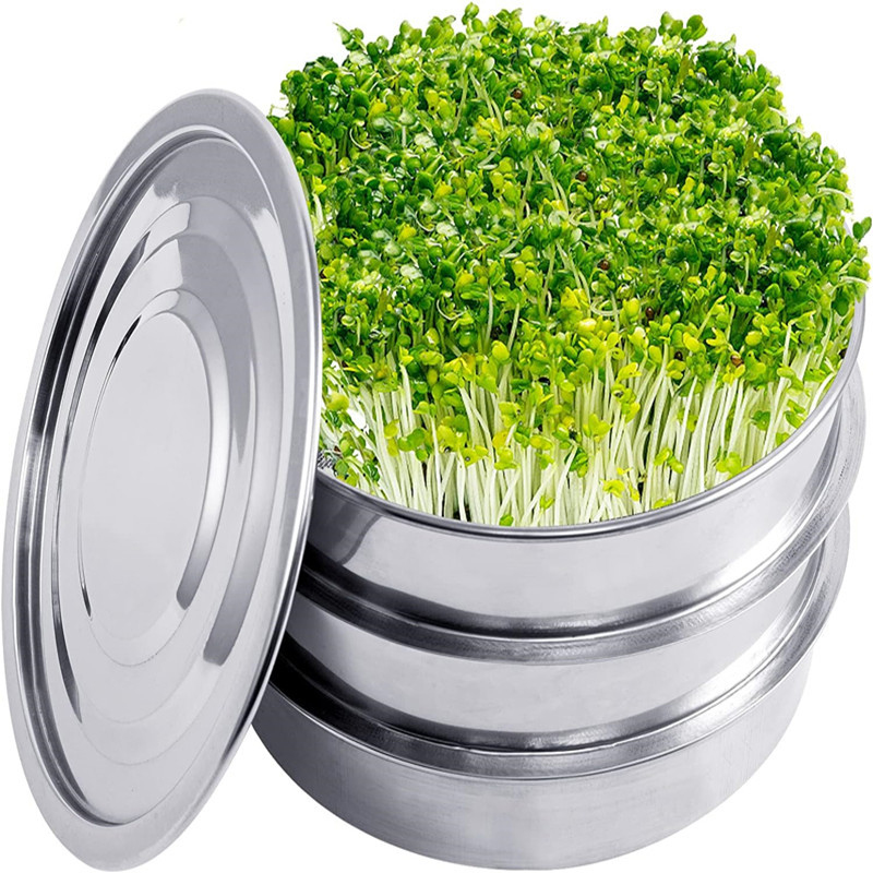 Kit per la germinazione delle  - Hydroponic Kit recensione e prezzo
