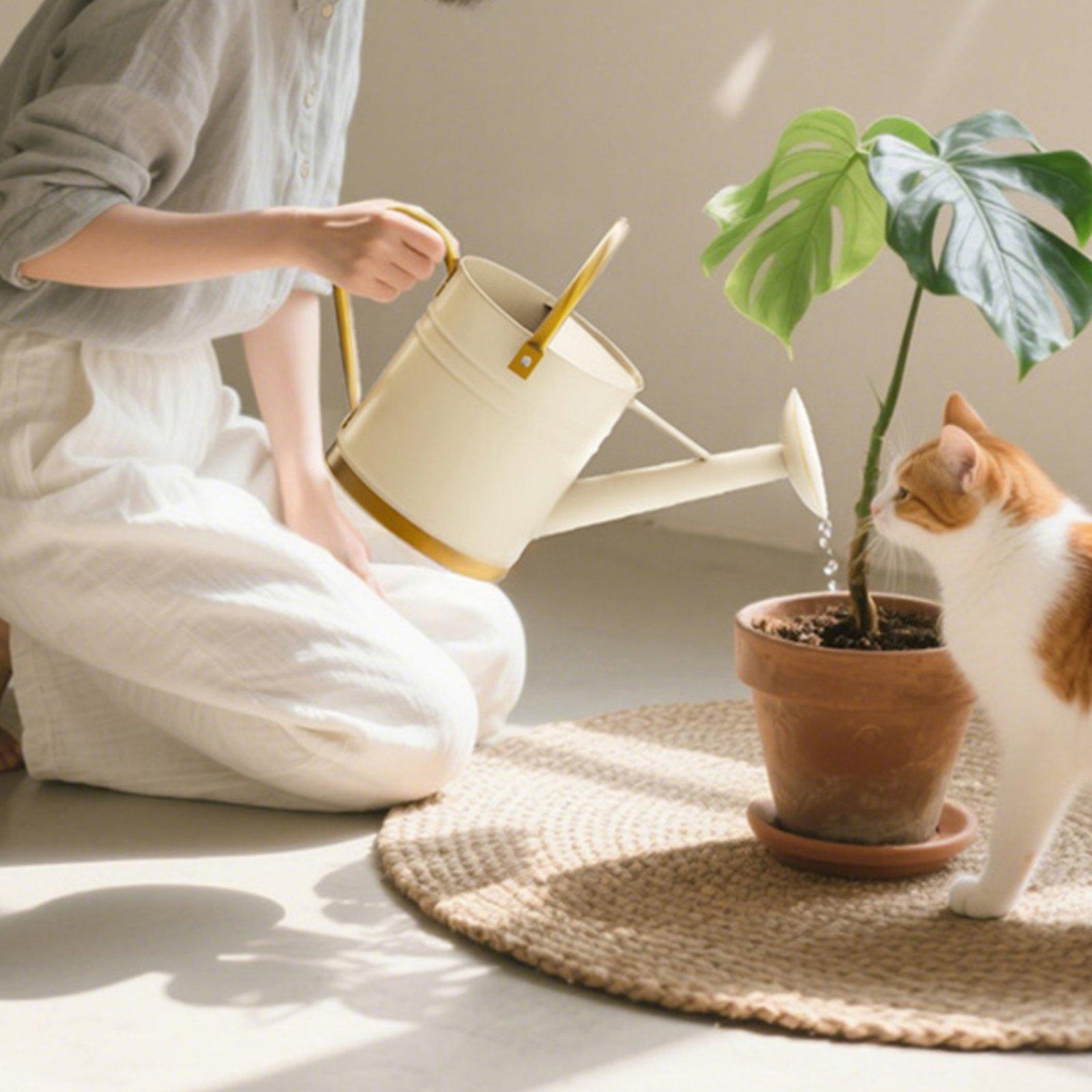 Annaffiatoio con beccuccio lun - Watering Can recensione e prezzo