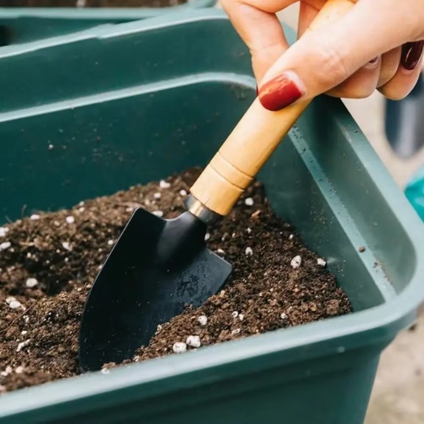 Set di 3 mini attrezzi da giar - Trowel Garden Tools recensione e prezzo