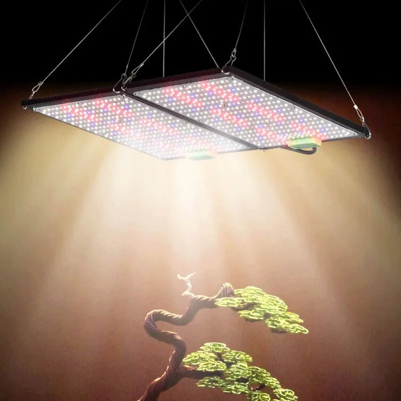 Lampada LED Quantum-Board per  - Grow Light Led recensione e prezzo