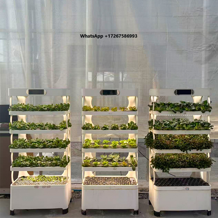 Fioriera intelligente per giar - Grow Light Led recensione e prezzo