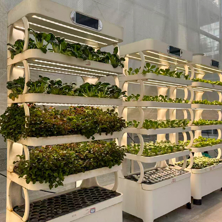 Fioriera intelligente per giar - Grow Light Led recensione e prezzo