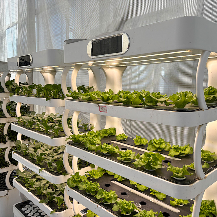 Fioriera intelligente per giar - Grow Light Led recensione e prezzo